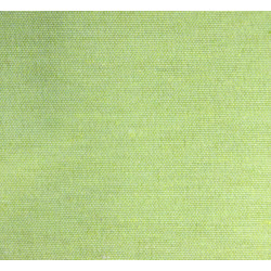 ➤ Loneta Lisa Verde Lima -【Precios Lonetas】